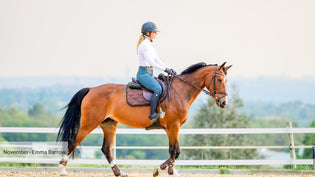  November- Emma Barrow - Equine Culture