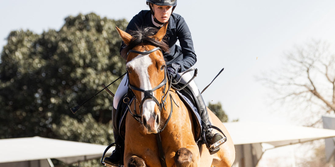  Horse wearing a Serene bridle, highlighting the elegant design and superior craftsmanship, ensuring comfort for your horse.